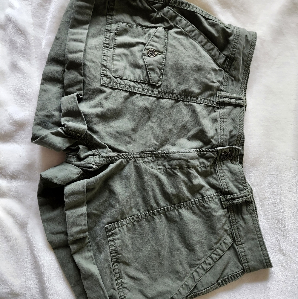 Time and Tru size 16 green shorts